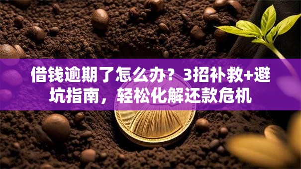 借钱逾期了怎么办？3招补救+避坑指南，轻松化解还款危机