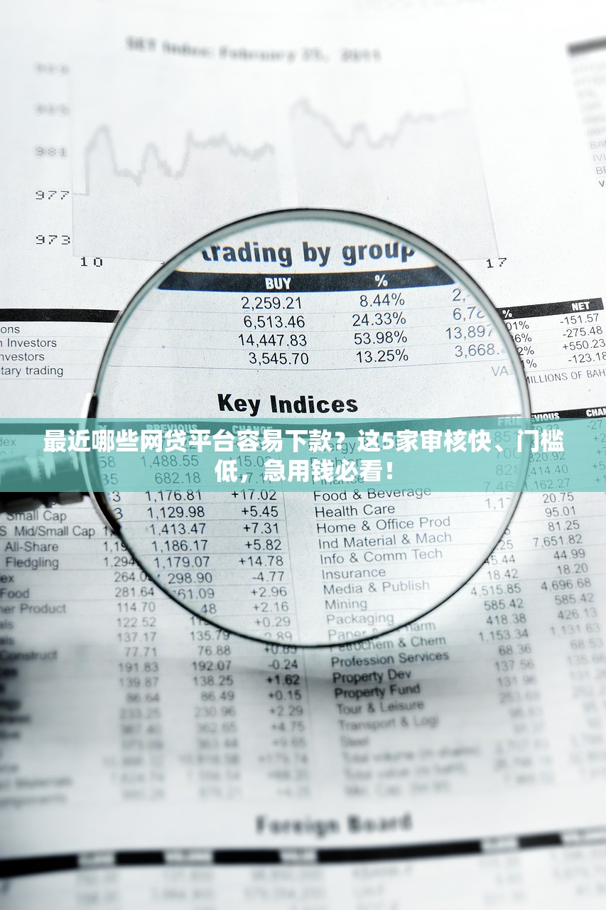 最近哪些网贷平台容易下款？这5家审核快、门槛低，急用钱必看！