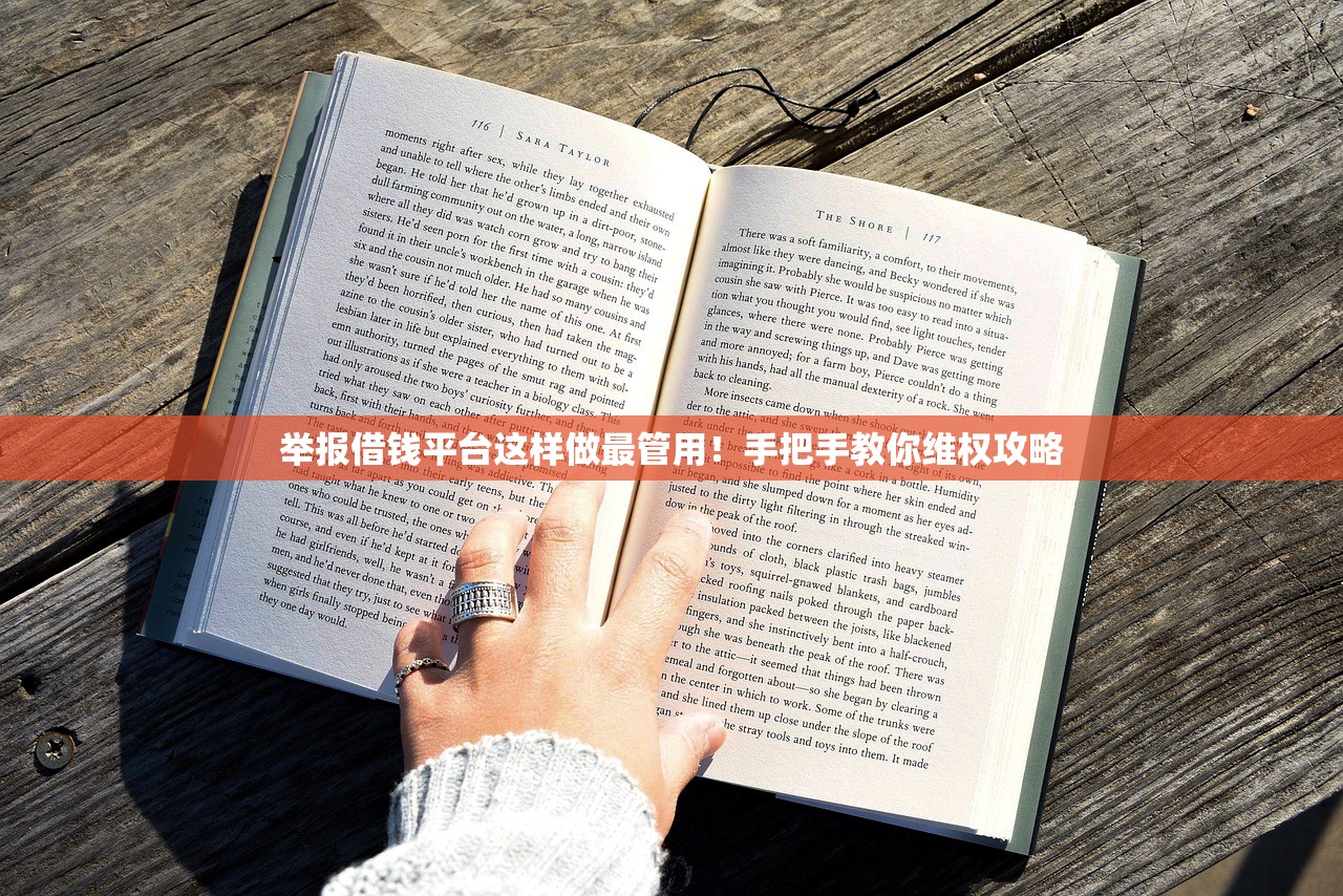 举报借钱平台这样做最管用！手把手教你维权攻略