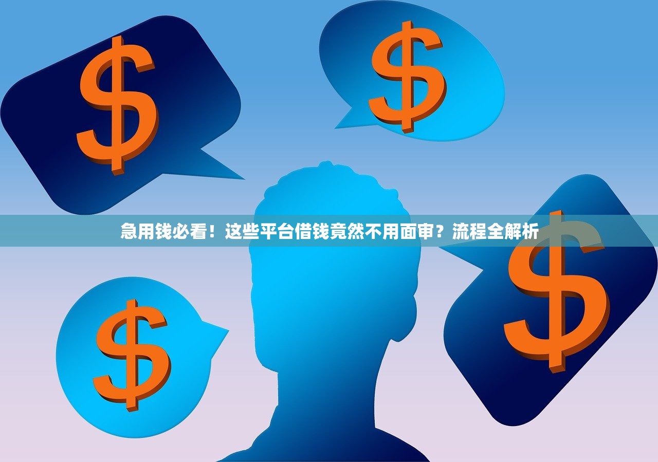 急用钱必看！这些平台借钱竟然不用面审？流程全解析