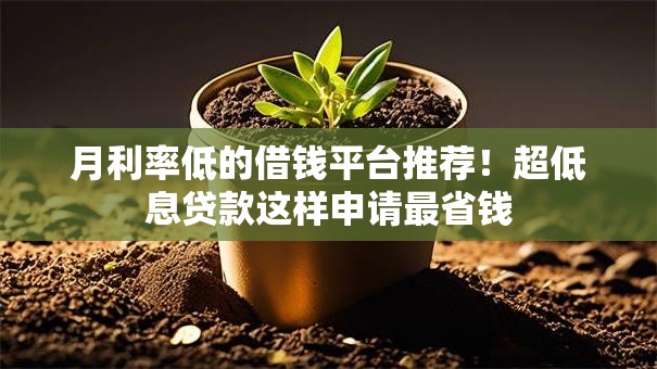 月利率低的借钱平台推荐！超低息贷款这样申请最省钱