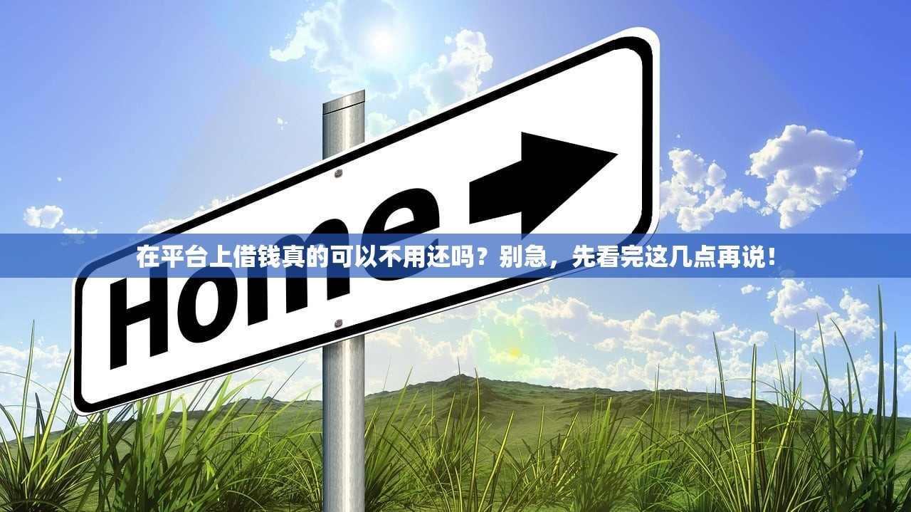 在平台上借钱真的可以不用还吗？别急，先看完这几点再说！