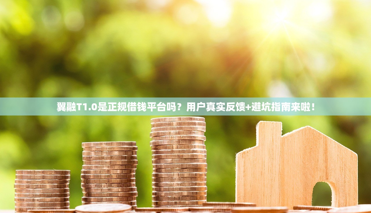 翼融T1.0是正规借钱平台吗?用户真实反馈+避坑指南来啦! 翼融T1.0是正规借钱平台吗?用户真实反馈+避坑指南来啦!