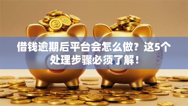借钱逾期后平台会怎么做?这5个处理步骤必须了解! 借钱逾期后平台会怎么做?这5个处理步骤必须了解!