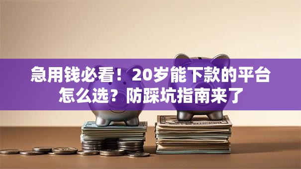 急用钱必看！20岁能下款的平台怎么选？防踩坑指南来了