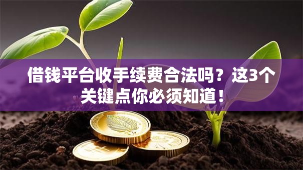 借钱平台收手续费合法吗？这3个关键点你必须知道！