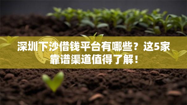 深圳下沙借钱平台有哪些？这5家靠谱渠道值得了解！