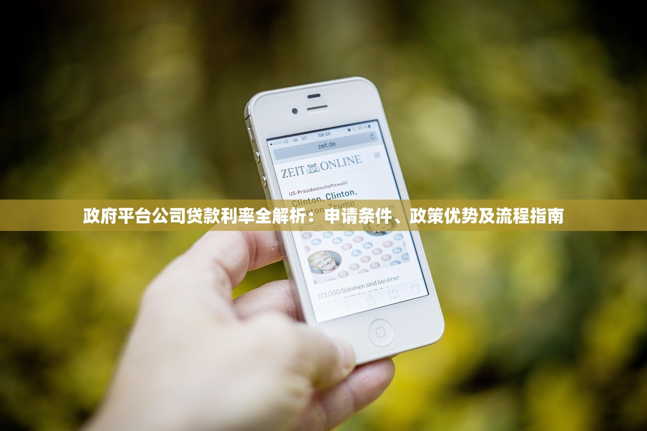 政府平台公司贷款利率全解析：申请条件、政策优势及流程指南