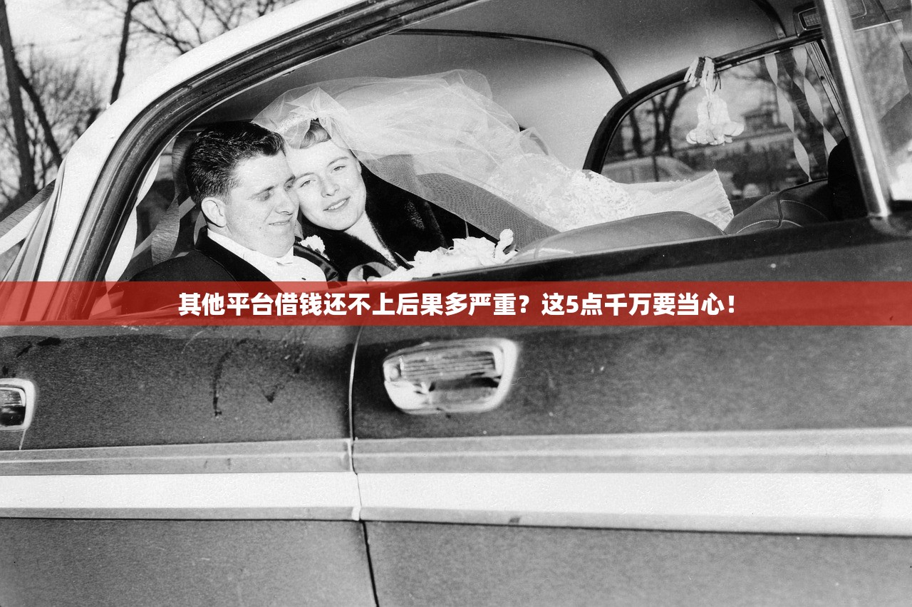 其他平台借钱还不上后果多严重？这5点千万要当心！