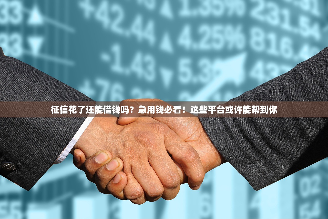 征信花了还能借钱吗？急用钱必看！这些平台或许能帮到你