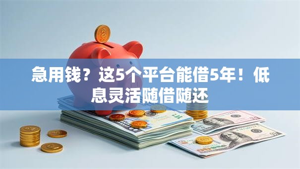 急用钱？这5个平台能借5年！低息灵活随借随还