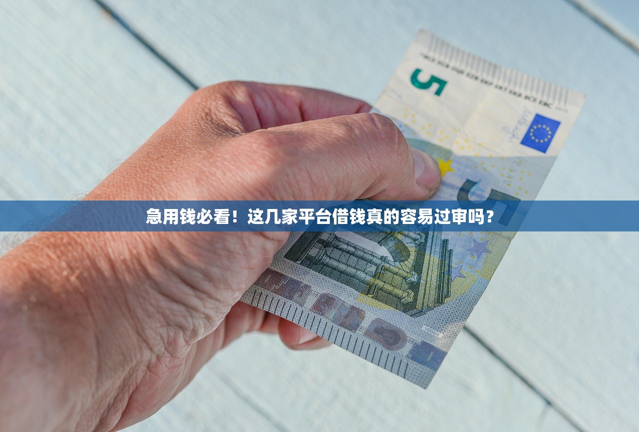 急用钱必看！这几家平台借钱真的容易过审吗？