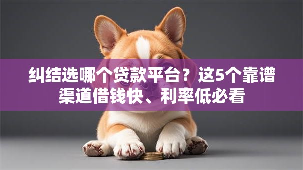 纠结选哪个贷款平台？这5个靠谱渠道借钱快、利率低必看