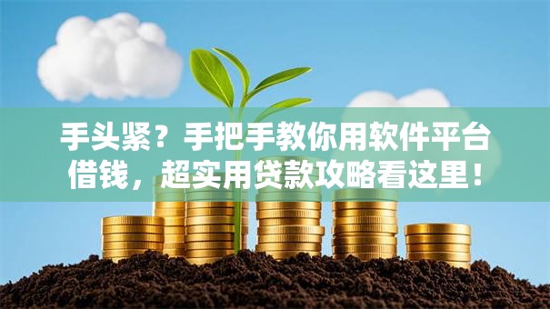 手头紧？手把手教你用软件平台借钱，超实用贷款攻略看这里！