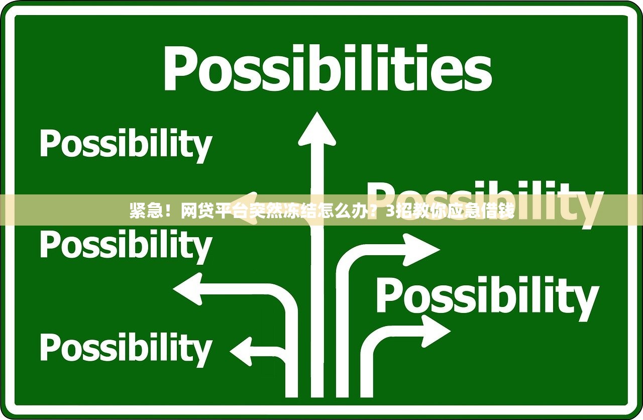 紧急！网贷平台突然冻结怎么办？3招教你应急借钱