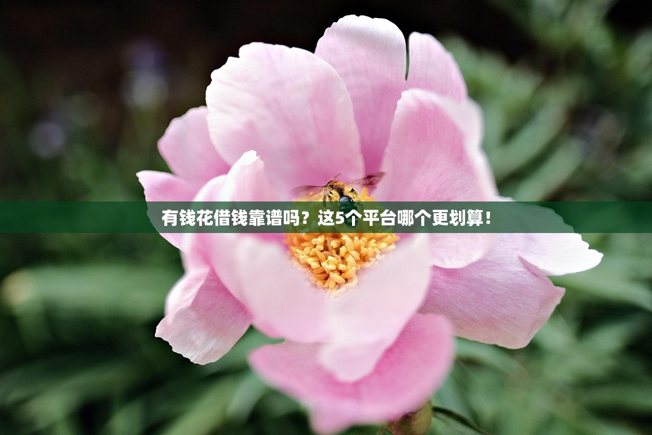 有钱花借钱靠谱吗？这5个平台哪个更划算！