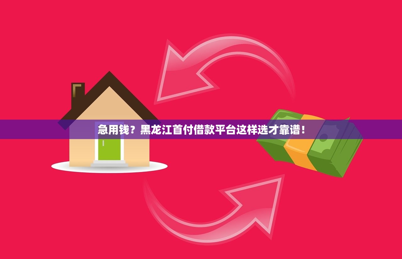 急用钱？黑龙江首付借款平台这样选才靠谱！