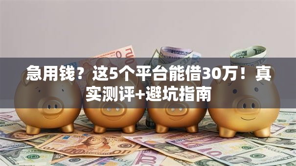 急用钱？这5个平台能借30万！真实测评+避坑指南