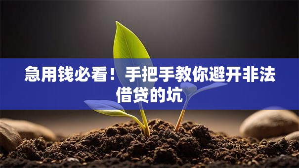 急用钱必看！手把手教你避开非法借贷的坑