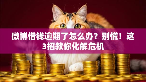 微博借钱逾期了怎么办？别慌！这3招教你化解危机