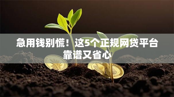 急用钱别慌！这5个正规网贷平台靠谱又省心