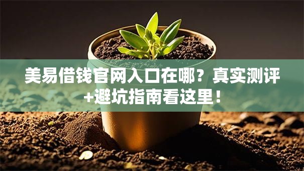 美易借钱官网入口在哪？真实测评+避坑指南看这里！
