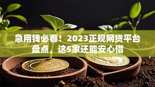 急用钱必看！2023正规网贷平台盘点，这5家还能安心借