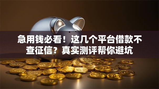 急用钱必看！这几个平台借款不查征信？真实测评帮你避坑
