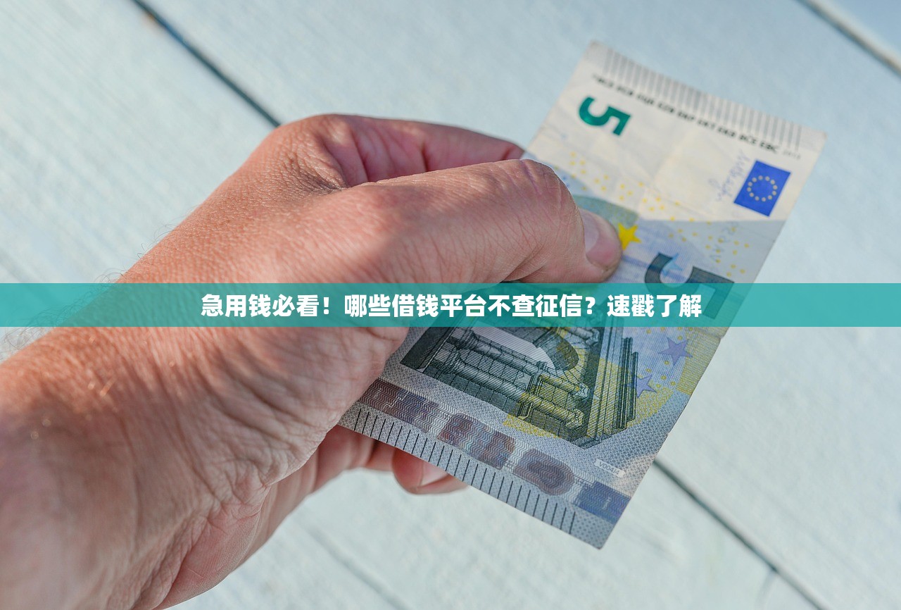 急用钱必看！哪些借钱平台不查征信？速戳了解