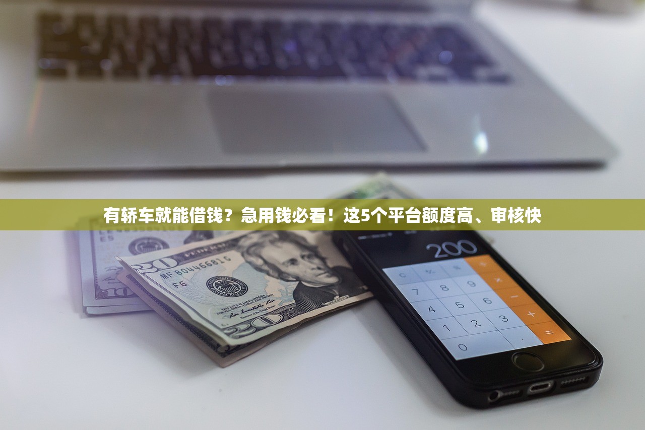 有轿车就能借钱？急用钱必看！这5个平台额度高、审核快