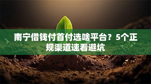 南宁借钱付首付选啥平台？5个正规渠道速看避坑