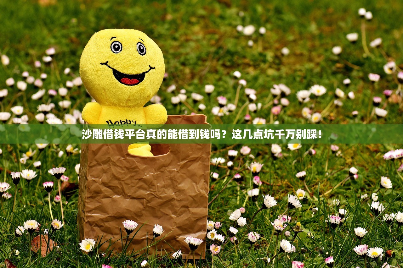 沙雕借钱平台真的能借到钱吗？这几点坑千万别踩！