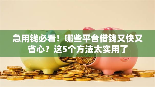 急用钱必看！哪些平台借钱又快又省心？这5个方法太实用了