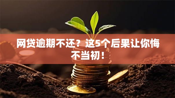 网贷逾期不还？这5个后果让你悔不当初！