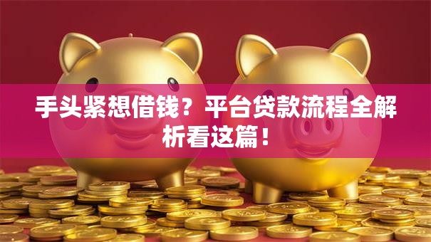 手头紧想借钱？平台贷款流程全解析看这篇！