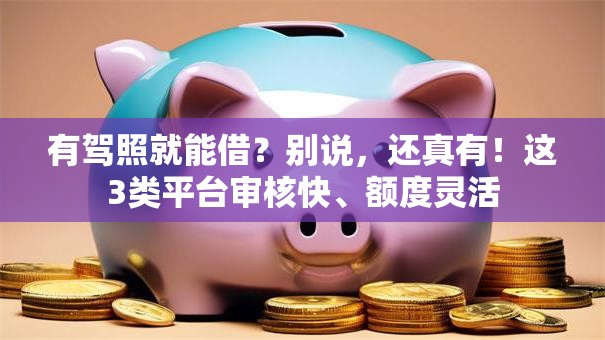 有驾照就能借？别说，还真有！这3类平台审核快、额度灵活