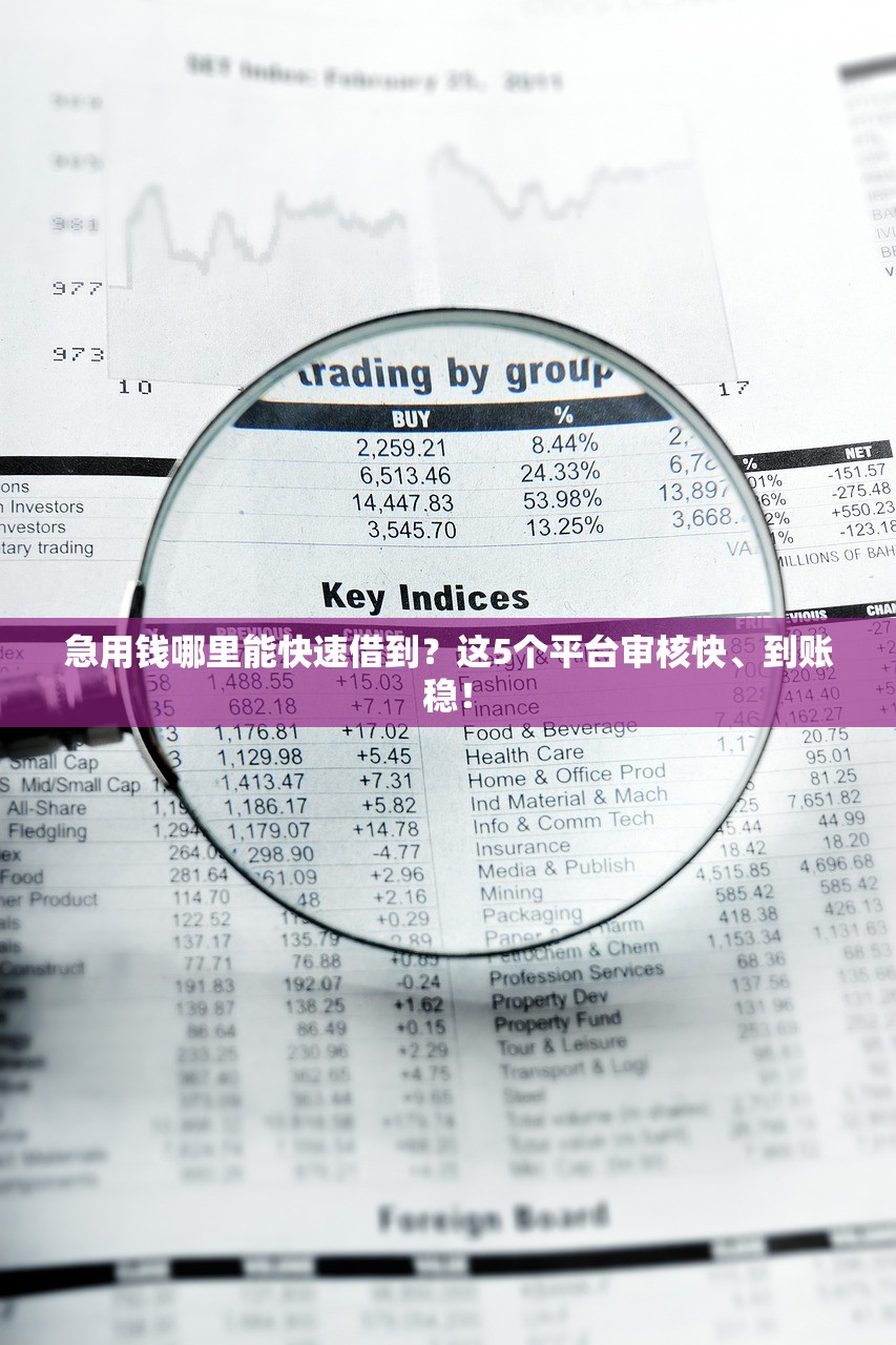 急用钱哪里能快速借到?这5个平台审核快、到账稳! 急用钱哪里能快速借到?这5个平台审核快、到账稳!