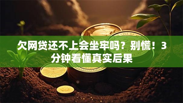 欠网贷还不上会坐牢吗？别慌！3分钟看懂真实后果