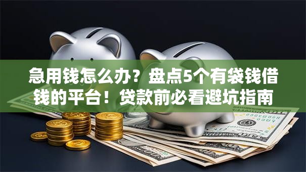 急用钱怎么办？盘点5个有袋钱借钱的平台！贷款前必看避坑指南
