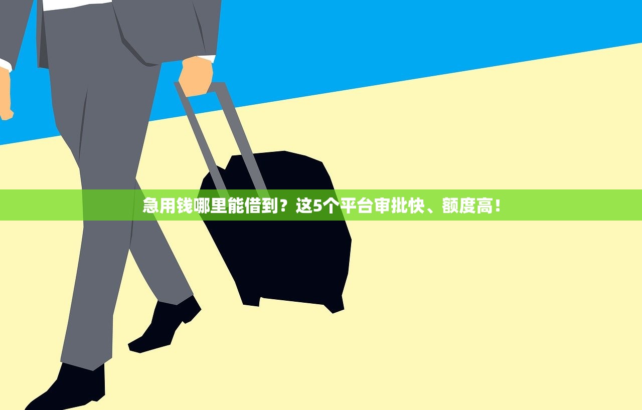 急用钱哪里能借到？这5个平台审批快、额度高！