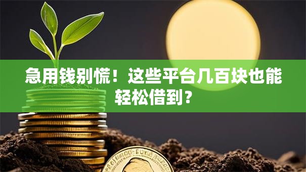 急用钱别慌！这些平台几百块也能轻松借到？