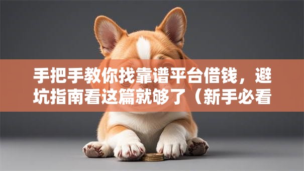 手把手教你找靠谱平台借钱，避坑指南看这篇就够了（新手必看）
