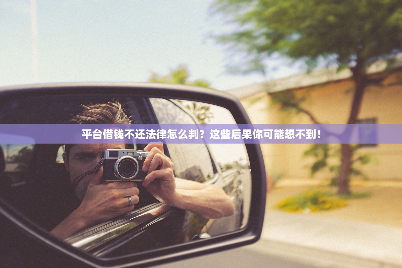 平台借钱不还法律怎么判？这些后果你可能想不到！