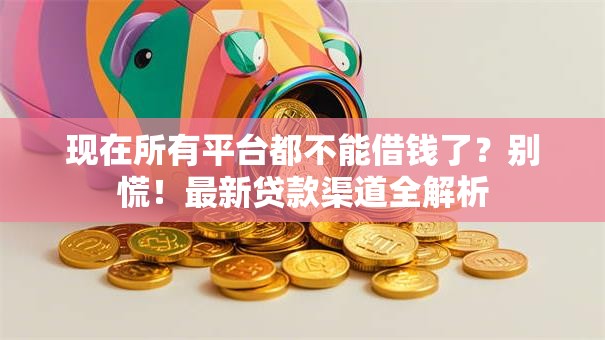 现在所有平台都不能借钱了？别慌！最新贷款渠道全解析