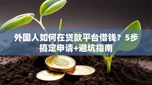 外国人如何在贷款平台借钱？5步搞定申请+避坑指南