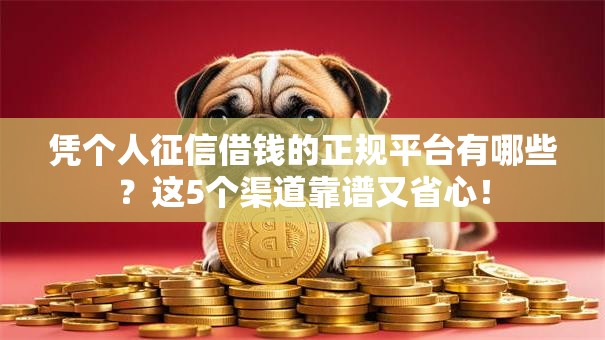 凭个人征信借钱的正规平台有哪些？这5个渠道靠谱又省心！