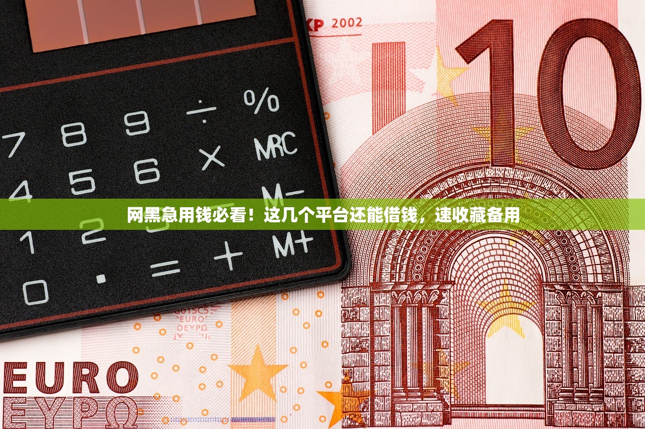 网黑急用钱必看！这几个平台还能借钱，速收藏备用