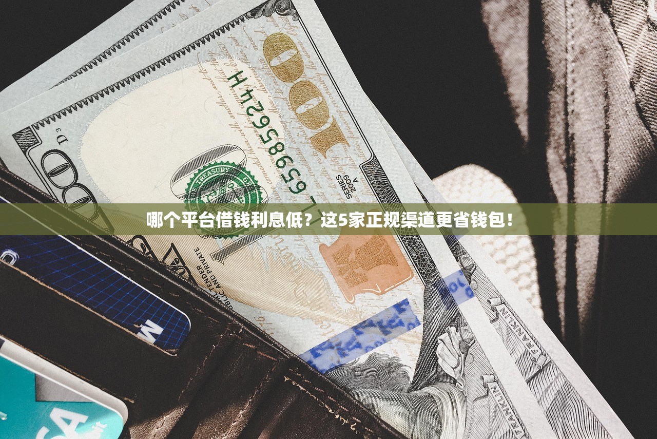 哪个平台借钱利息低？这5家正规渠道更省钱包！