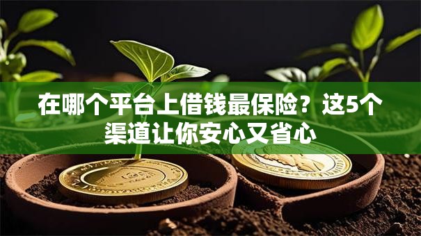 在哪个平台上借钱最保险？这5个渠道让你安心又省心