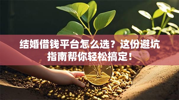 结婚借钱平台怎么选？这份避坑指南帮你轻松搞定！
